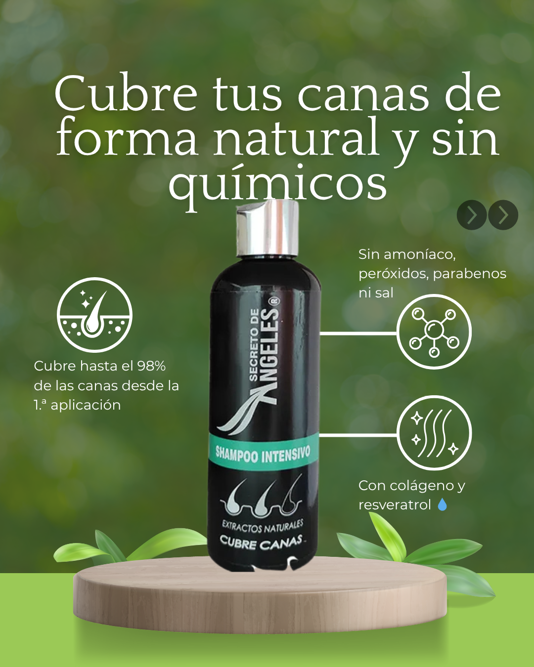 Shampoo Natural que Cubre Canas en Minutos