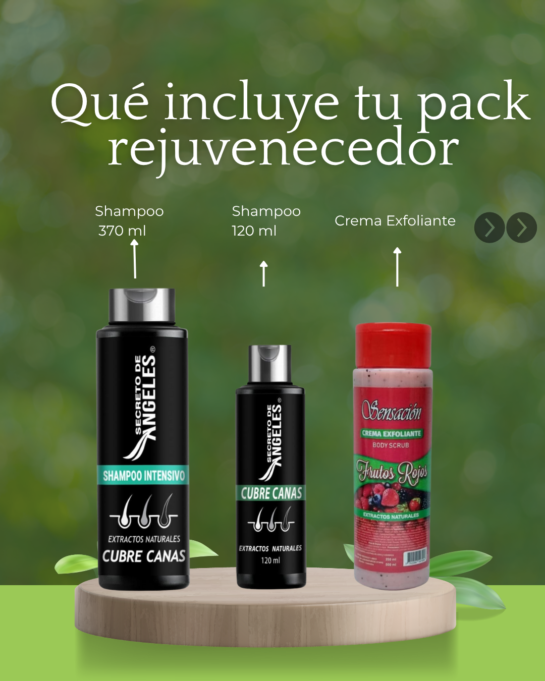 Shampoo Natural que Cubre Canas en Minutos
